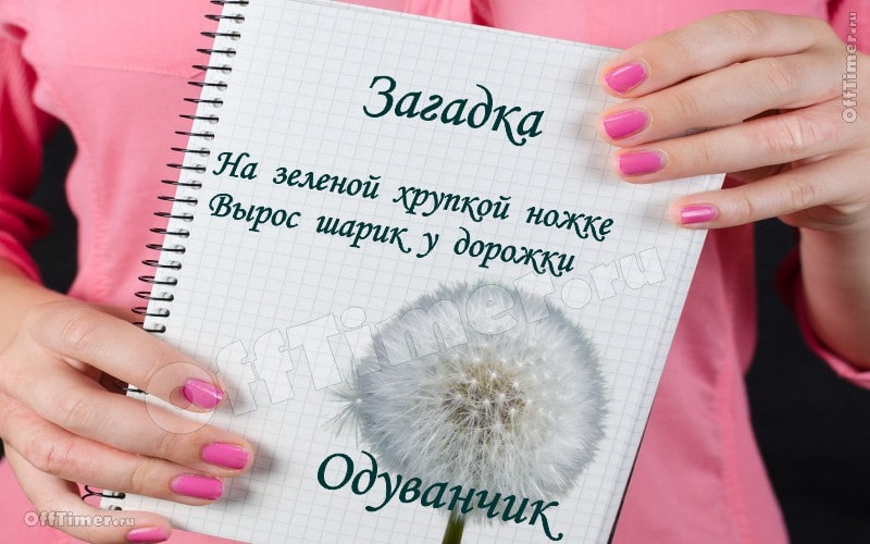 загадка-ребус 3 - ответ